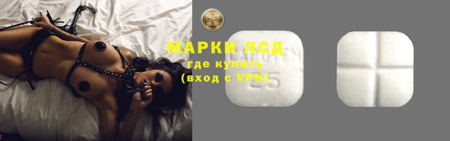 PSILOCYBIN Баксан