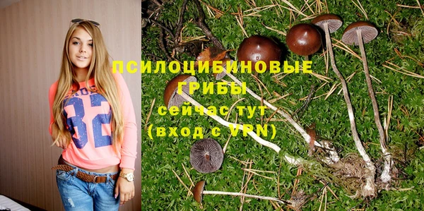 PSILOCYBIN Баксан