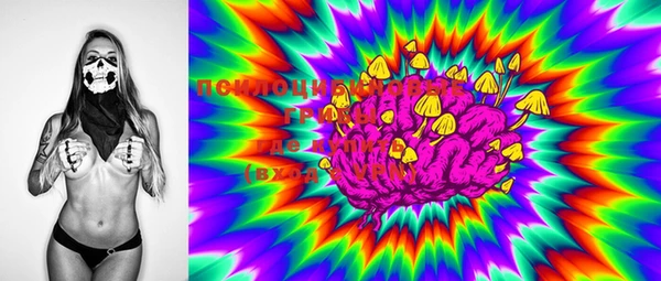 PSILOCYBIN Баксан