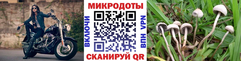 Псилоцибиновые грибы Psilocybine cubensis  Купить закладки  Добрянка 